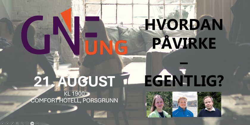 GNF UNG / Hvordan påvirke – egentlig?